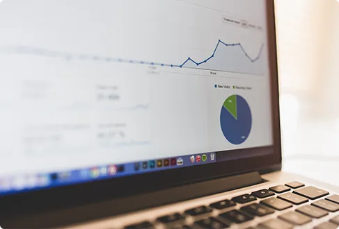 Our Comprehensive SEO Approach Is Your
                      - pg电子贵州站