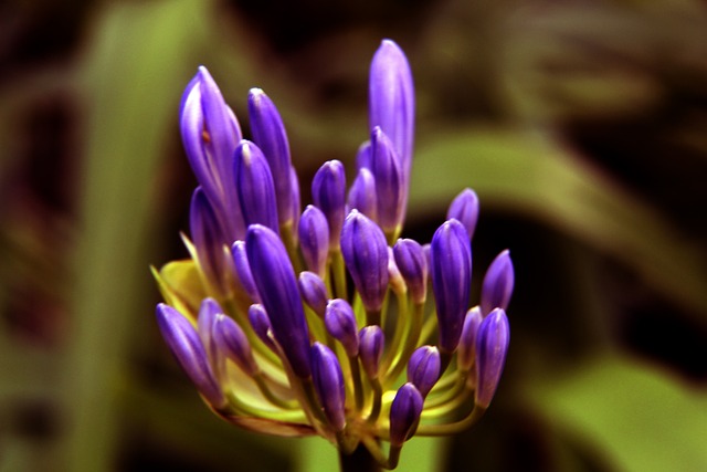 间内提升球 间内提升球