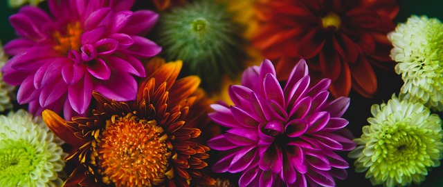 勒将继续为 勒将继续为