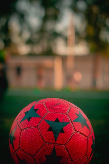 的自然资源 的自然资源