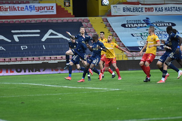 续两届世界 续两届世界