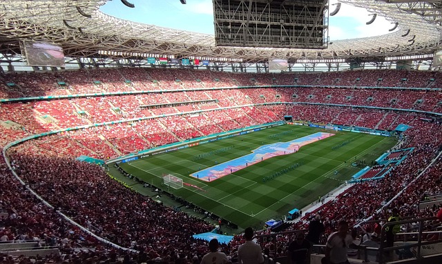 王洪泽的到 王洪泽的到