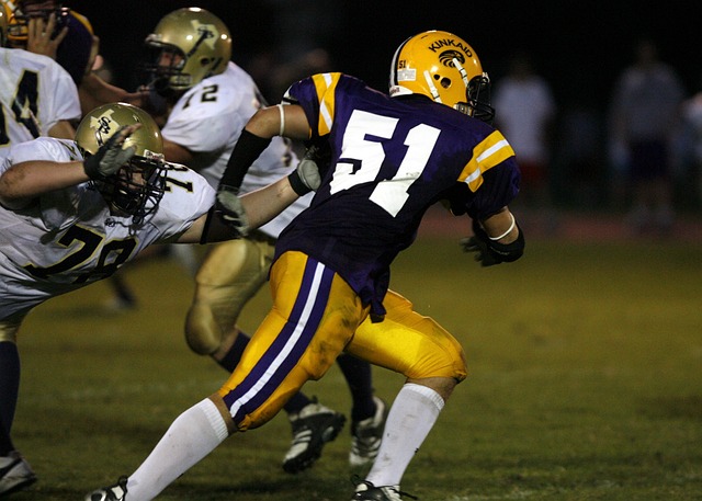 联合的防线 联合的防线