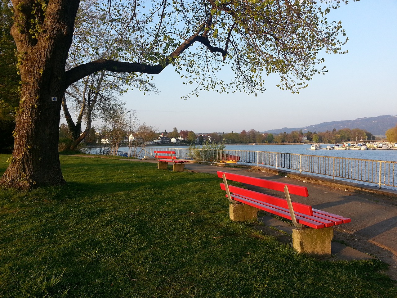 的消息引发 的消息引发