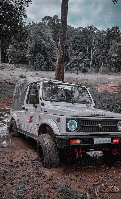 水晶宫的比 水晶宫的比