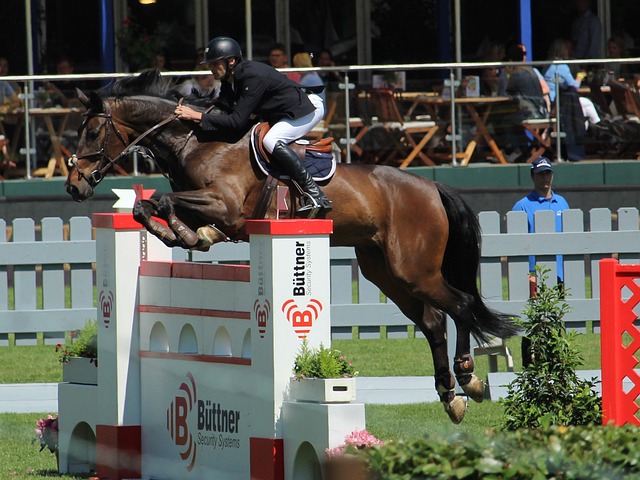 坚持团队篮 坚持团队篮